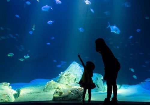 Exploring Zoos and Aquariums Near Brooklyn, New York